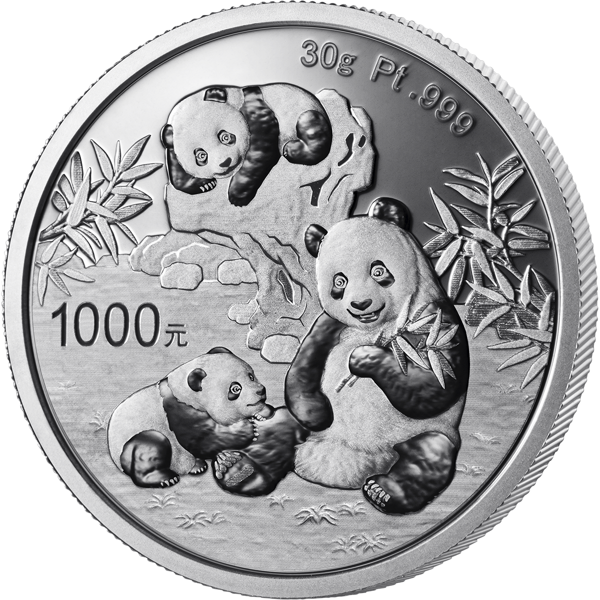 2025版熊貓30克紀念鉑幣