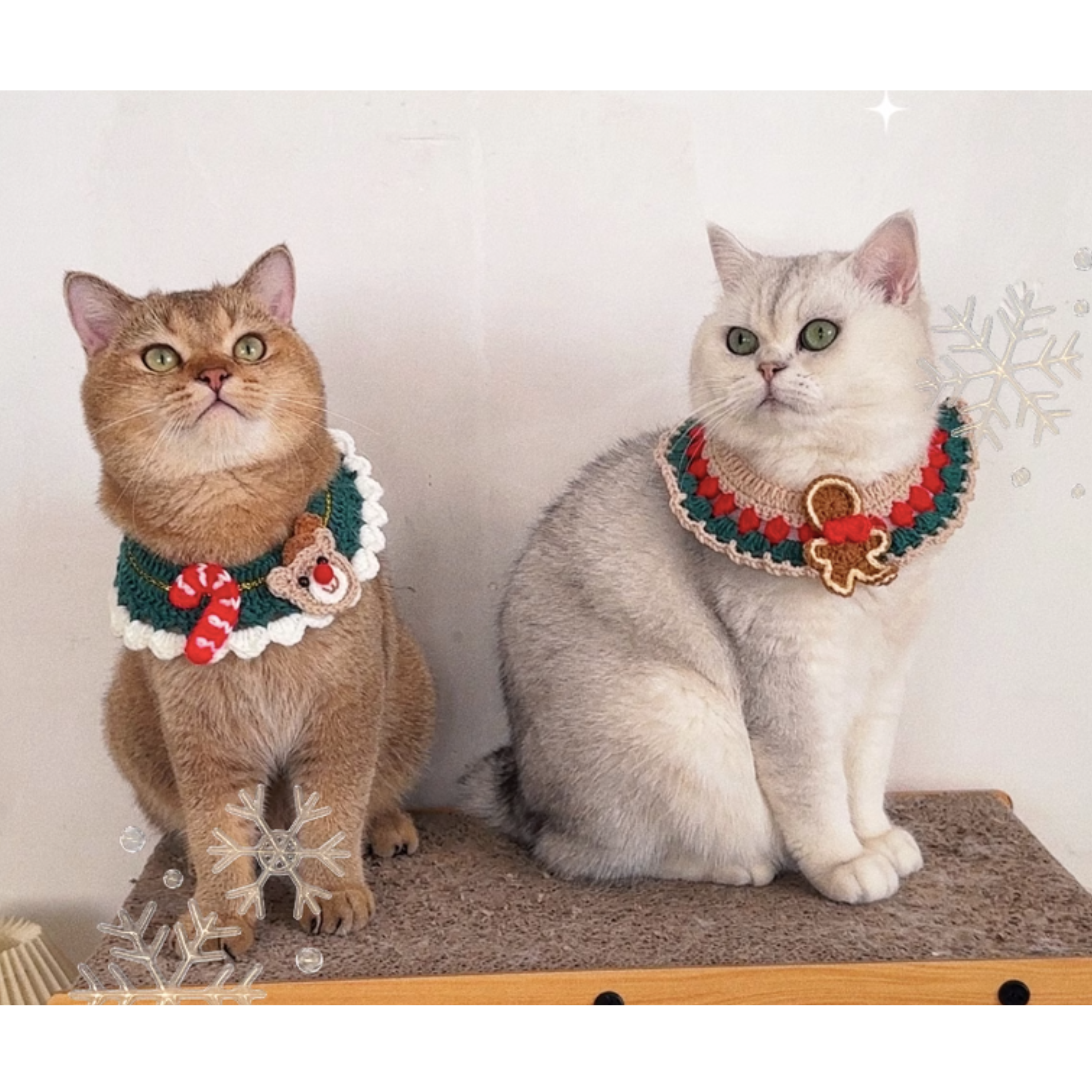 汪喵星人聖誕頸圈 (M-25-36cm / 8-12kg)