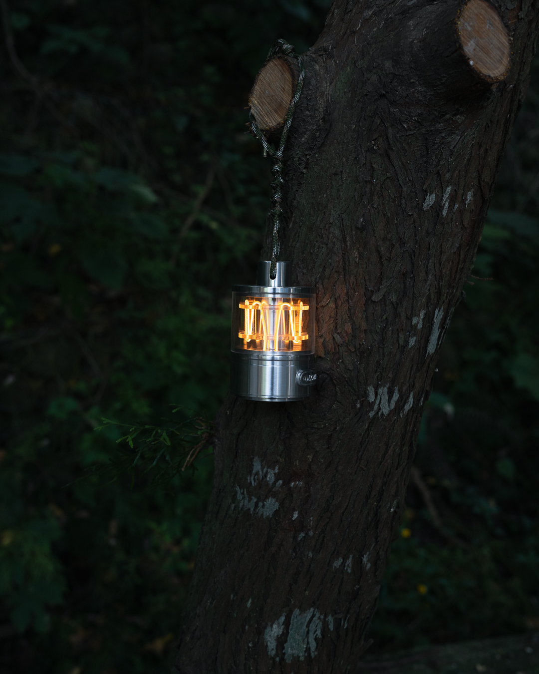 『照亮大巨蛋下水道之神燈💡』Zoring Park 心跳法碼 氛圍燈