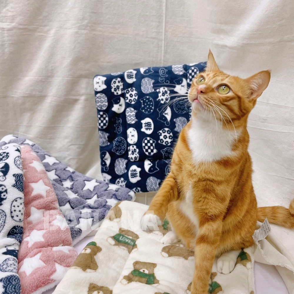 加厚法蘭絨寵物毛毯 貓咪毯子 寵物睡墊 毛毯墊 羊羔絨毯