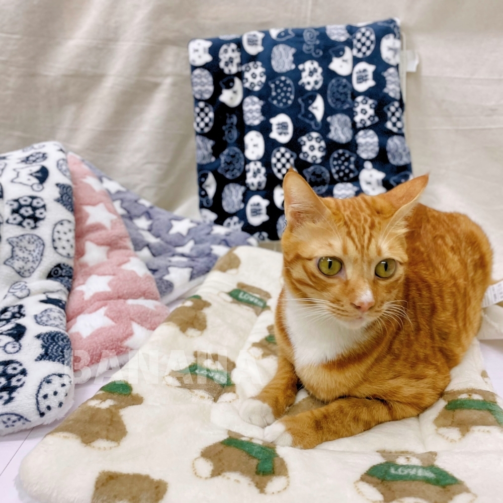 加厚法蘭絨寵物毛毯 貓咪毯子 寵物睡墊 毛毯墊 羊羔絨毯