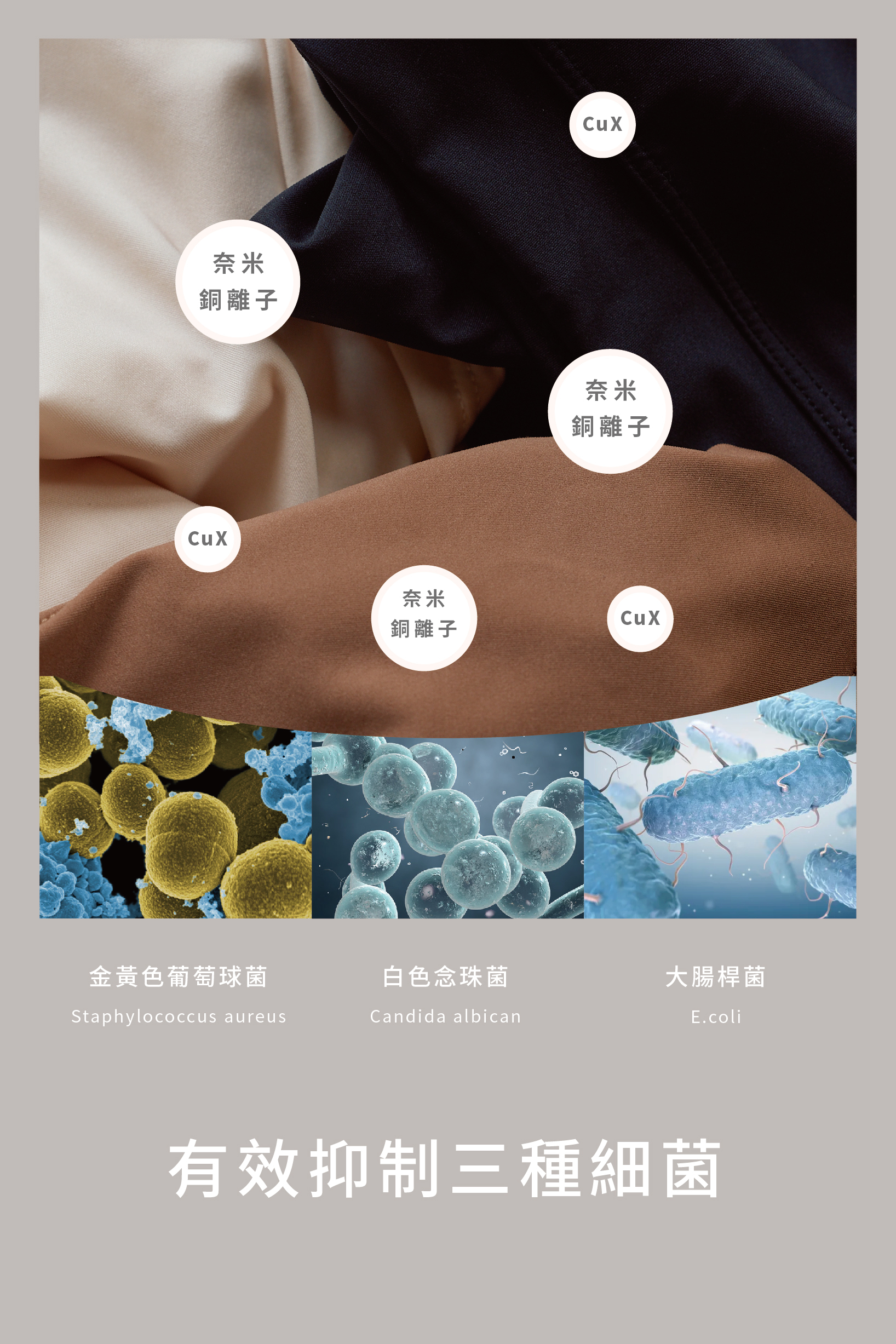 Air smoothies親密保鑣/Meufs訂製柔滑無鋼圈V型抗菌內衣套組〔咖色〕