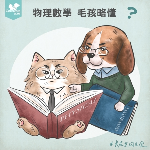 物理數學，毛孩略懂？