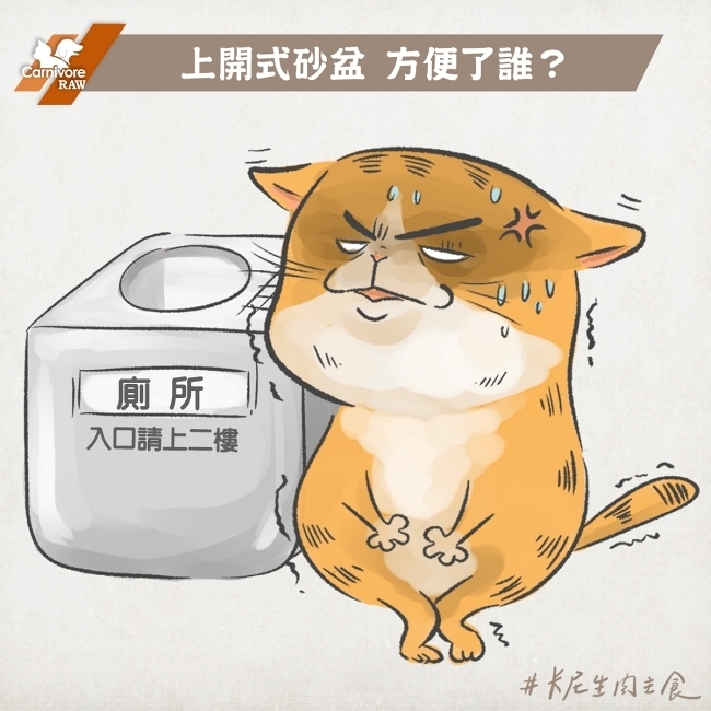 上開式貓砂盆，方便了誰？