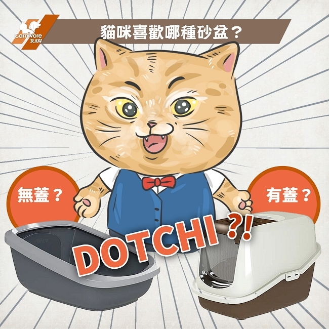 貓咪喜歡有蓋還是無蓋的貓砂盆