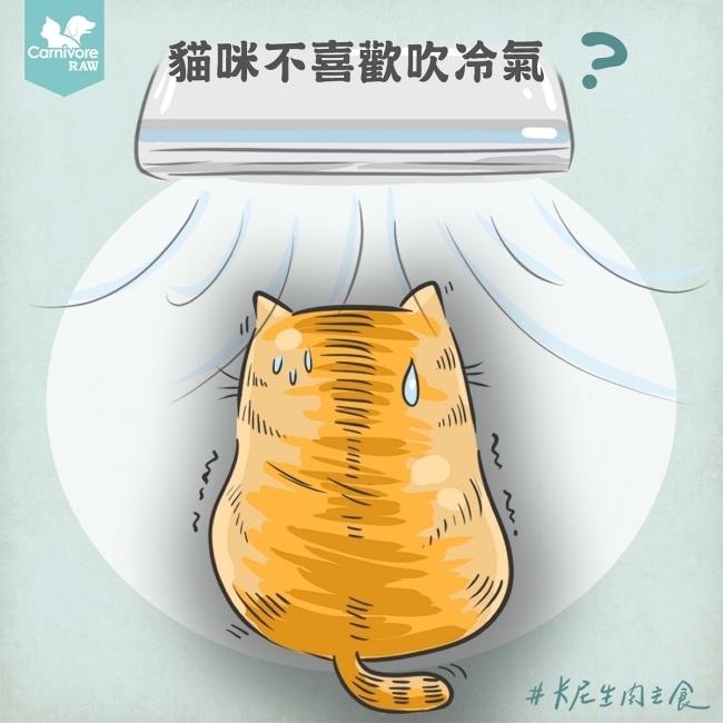 貓咪喜不喜歡吹冷氣？