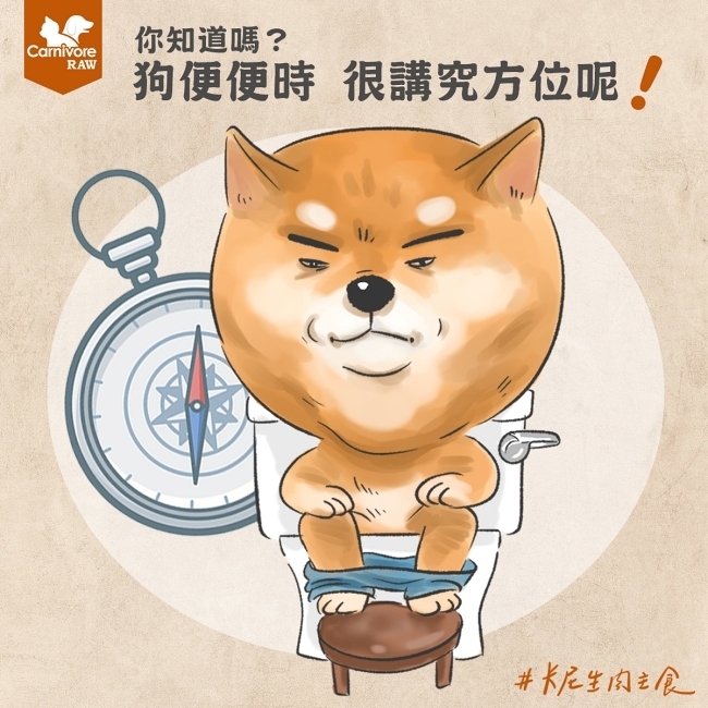 狗狗便便時，很講究方位！
