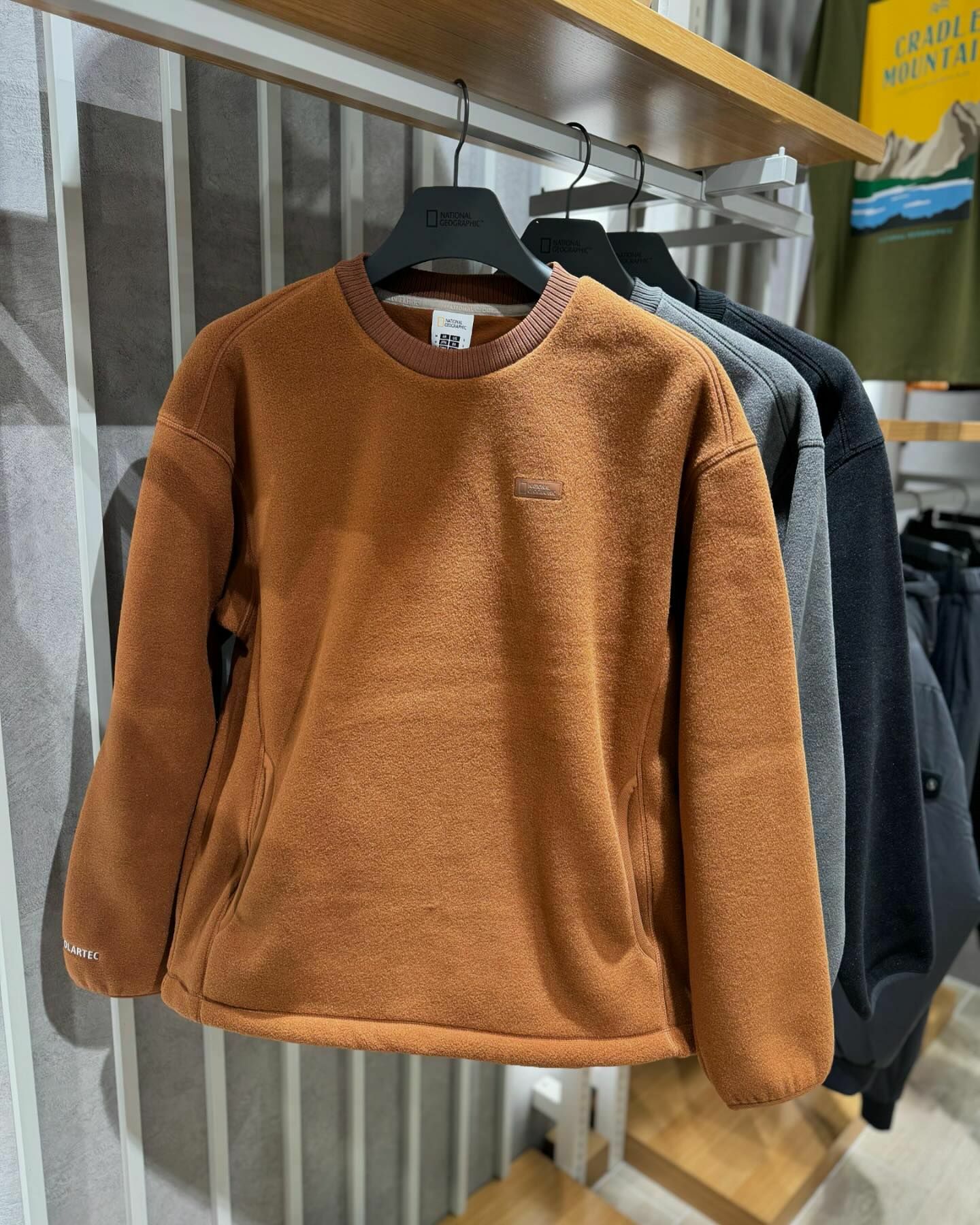 【代購】NATIONAL GEOGRAPHIC 國家地理 NAOS POLARTEC 絨毛 衛衣 大學T N244USW220