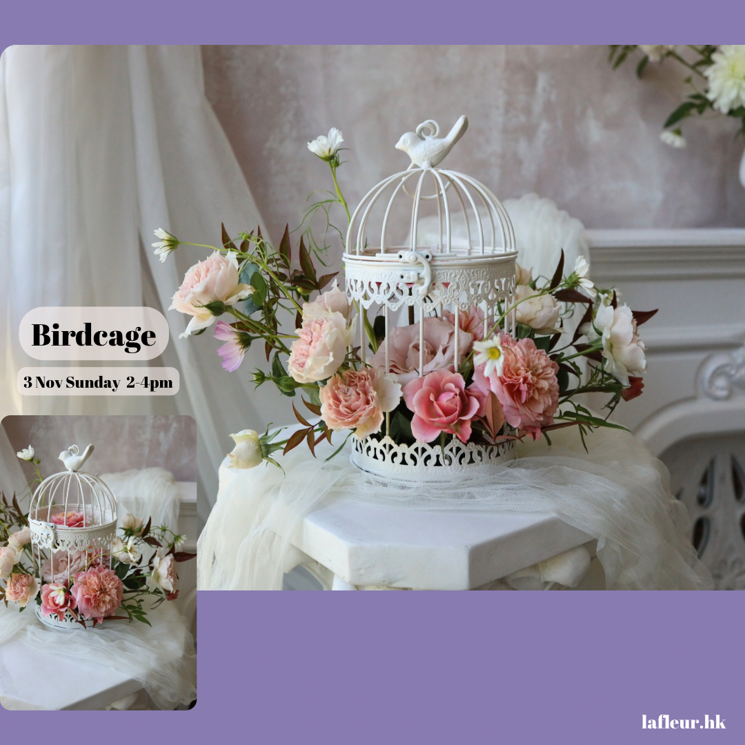 Bridcage 韓式鳥籠花。恍如置身空中花園🥳限時優惠