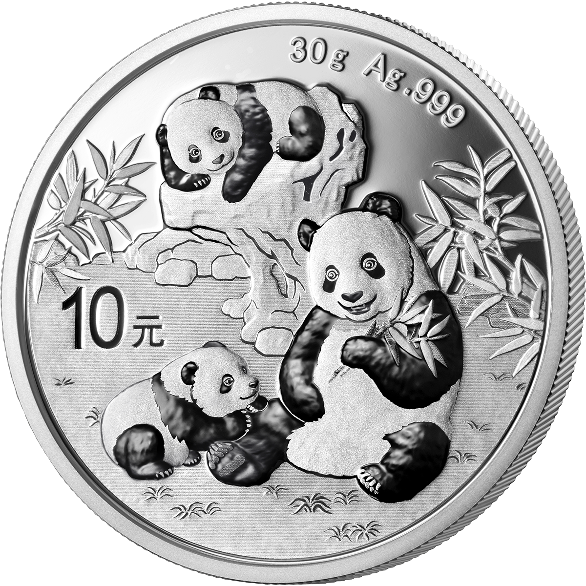 2025版熊貓30克紀念銀幣