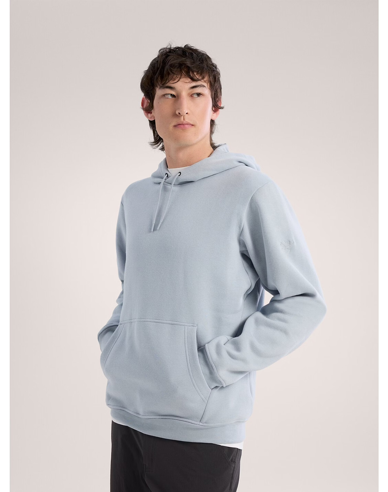 ARCTERYX - Men's Emblem Fleece Hoddy