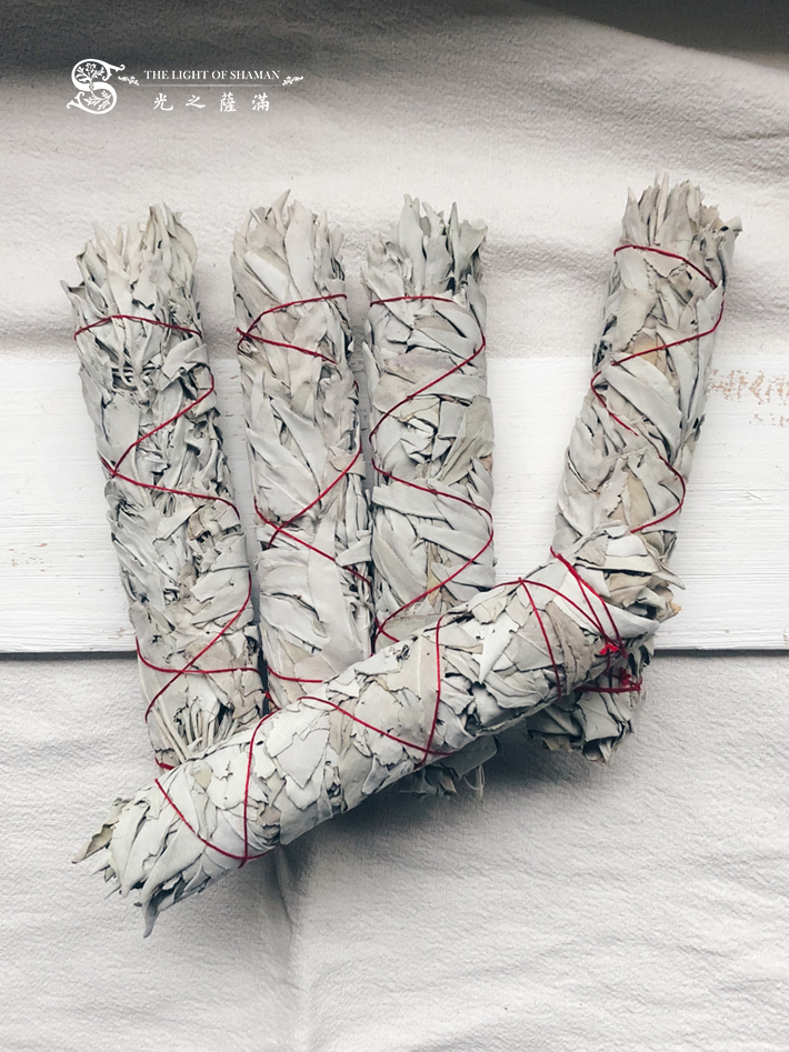 銷量最多 白鼠尾草捆 白色鼠尾草棒white sage 真空包裝－光之薩滿