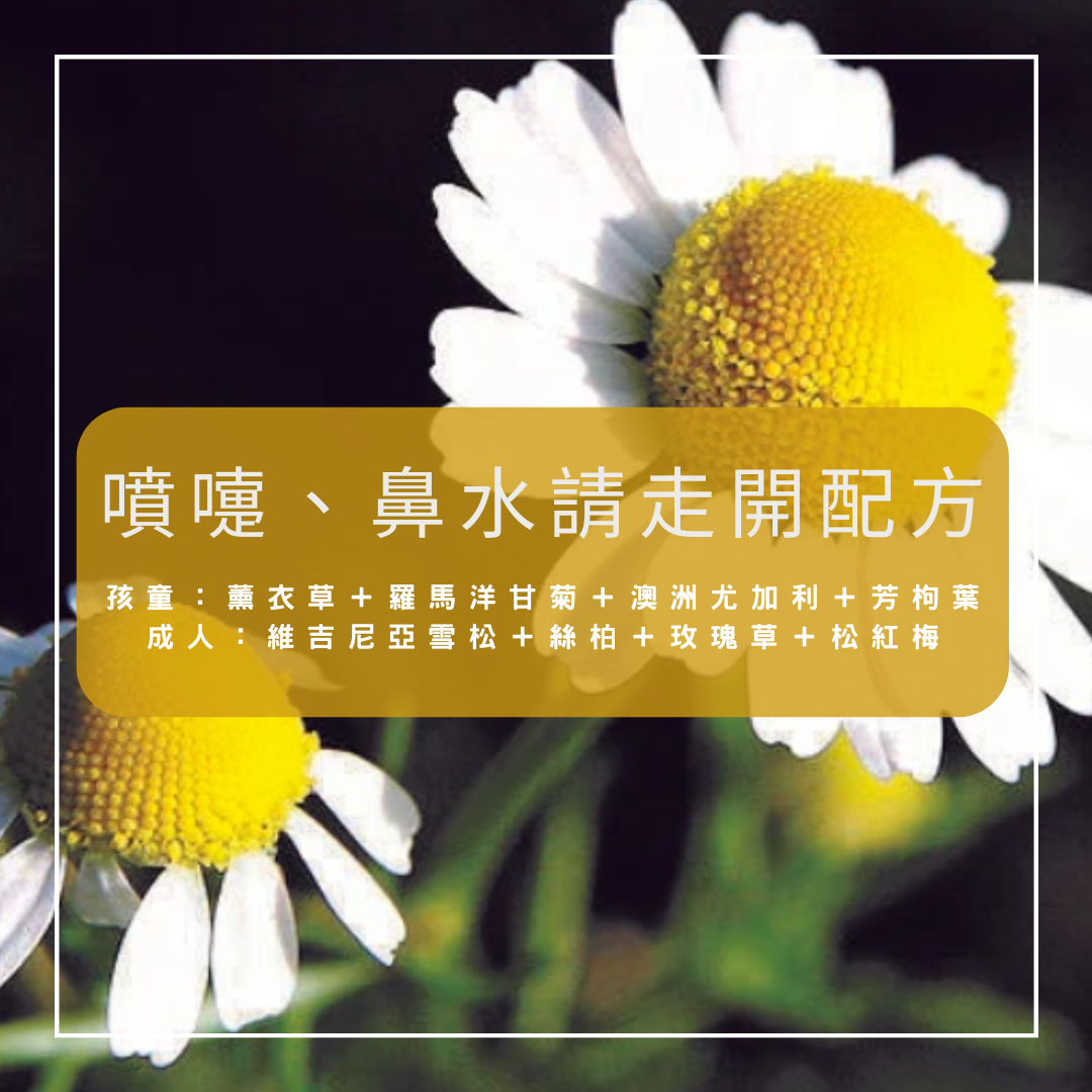 【噴嚏、鼻水請走開】呼吸道複方精油配方（乳液 30ml）