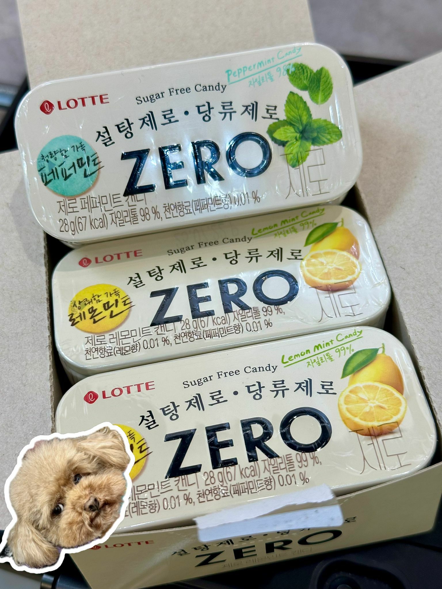 韓國ZERO零糖薄荷涼糖 28g