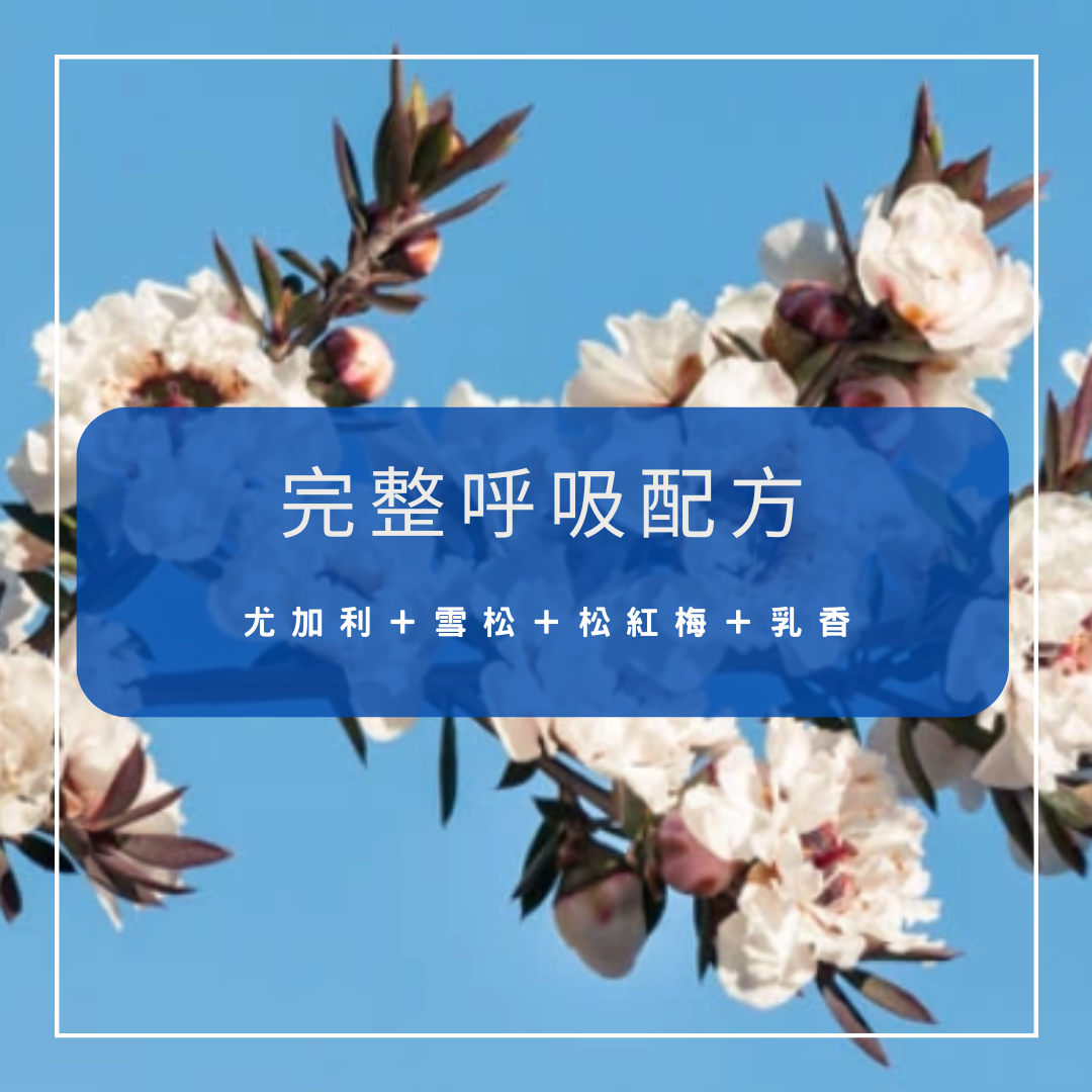 【完整呼吸】呼吸道複方精油配方（乳液／按摩油 50ml ）