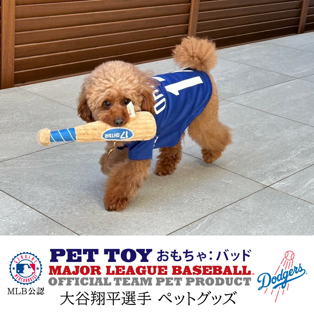 【MLB】洛杉磯天使 大谷翔平選手款｜棒球玩具