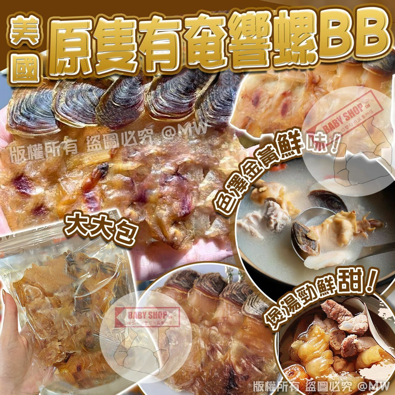 【預訂】A102603 美國原隻有奄響螺bb 150g