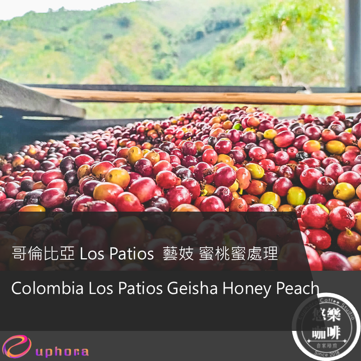 哥倫比亞 Los Patios  藝妓 蜜桃蜜處理
