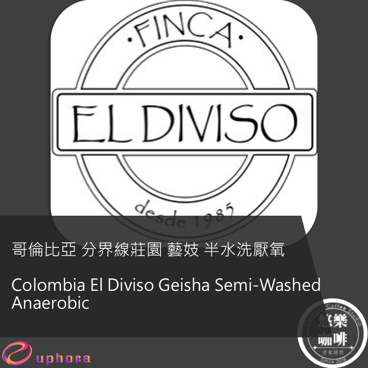 哥倫比亞 分界線莊園 藝妓 半水洗厭氧