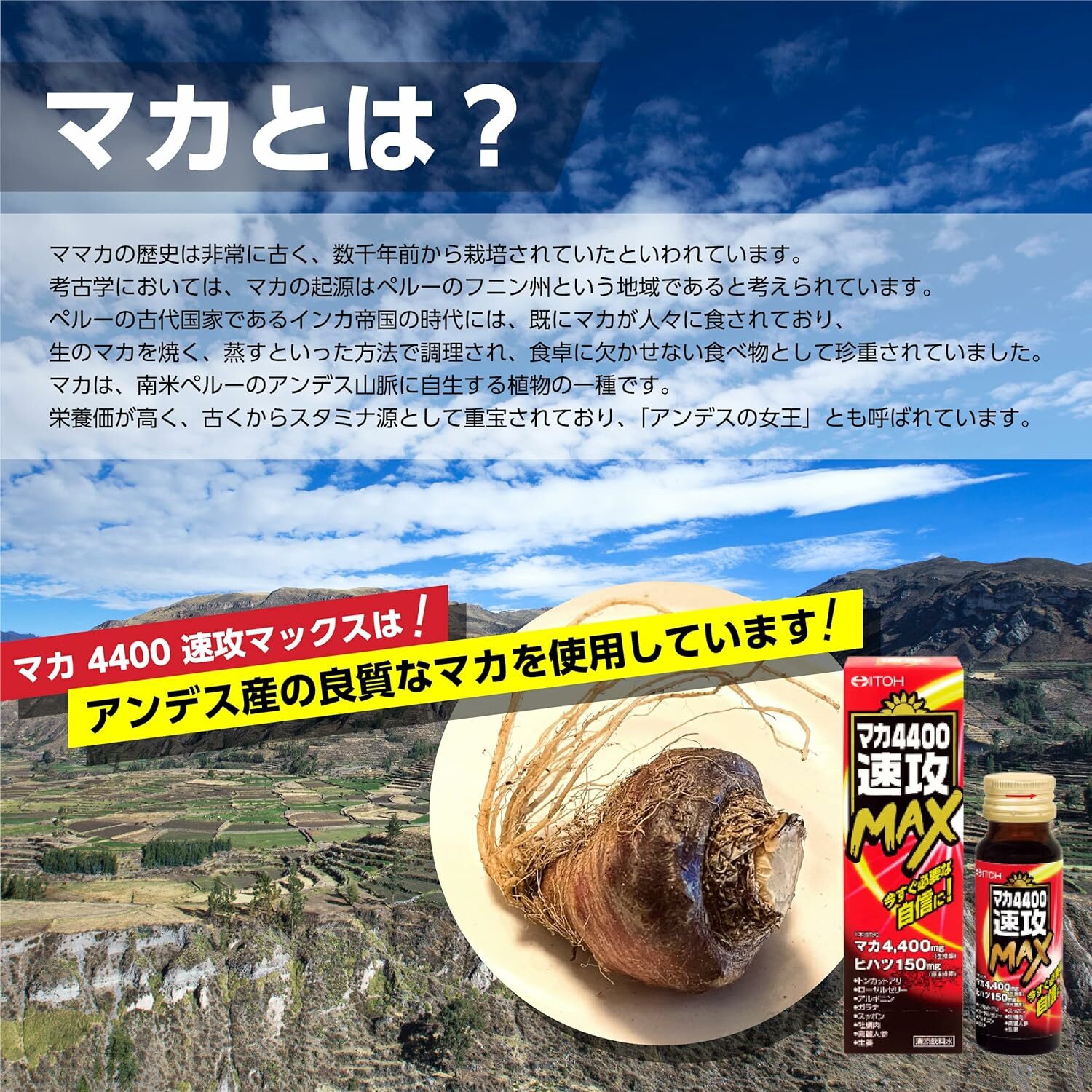 ITOH 瑪卡能量液11000-50ml(NF1149225)