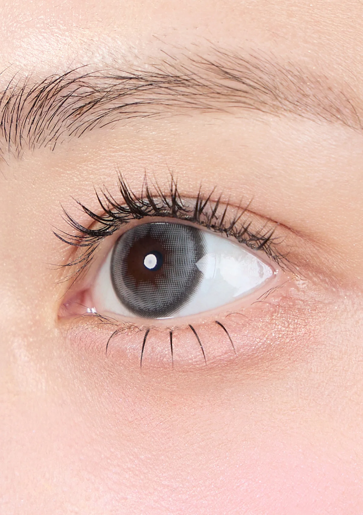 [月拋] Mimundo Fons 1 Month 月石灰 Luna Gray｜彩妝隱形眼鏡｜每盒2片