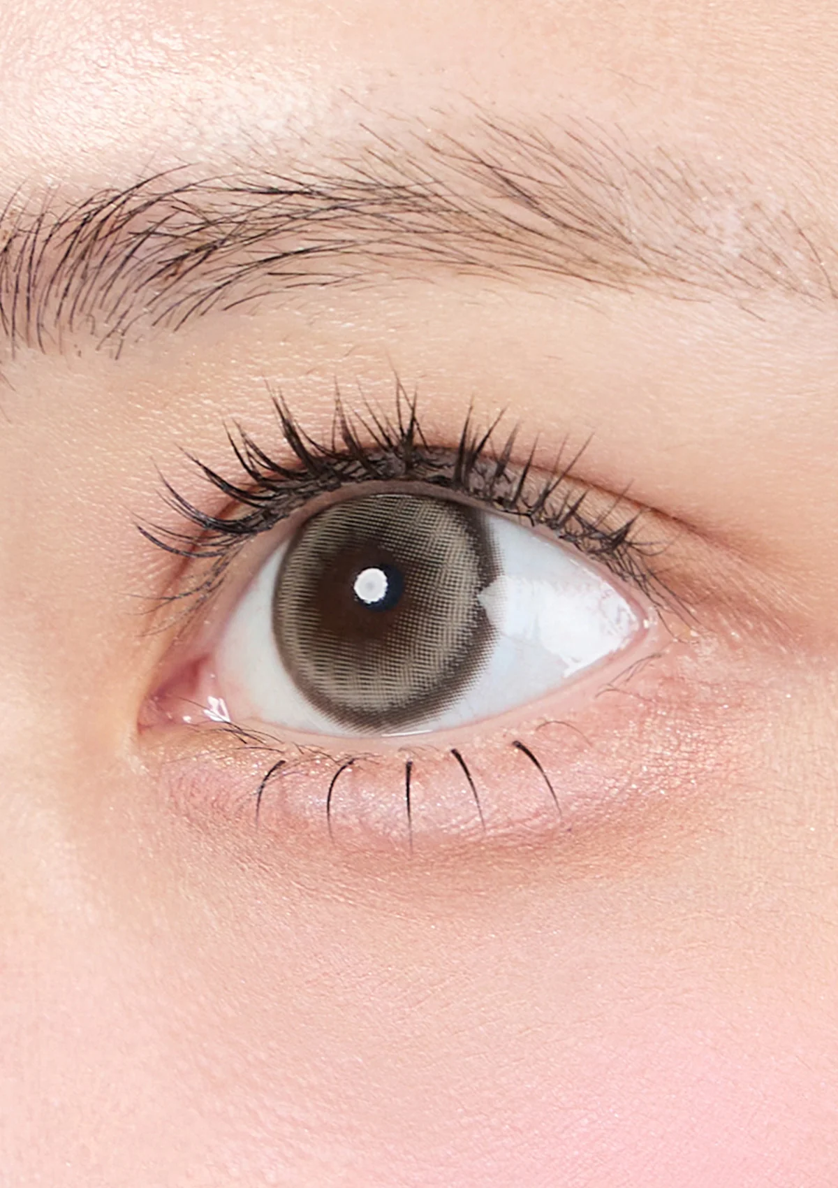 [月拋] Mimundo Fons 1 Month 沙地淺褐  Mud beige｜彩妝隱形眼鏡｜每盒2片