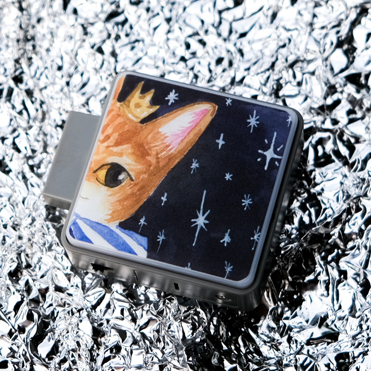 一氏夫婦 Escouple｜貓咪燈牌｜橘貓