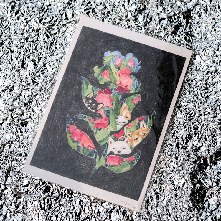 一氏夫婦 Escouple｜明信片｜花花世界｜柴柴科基