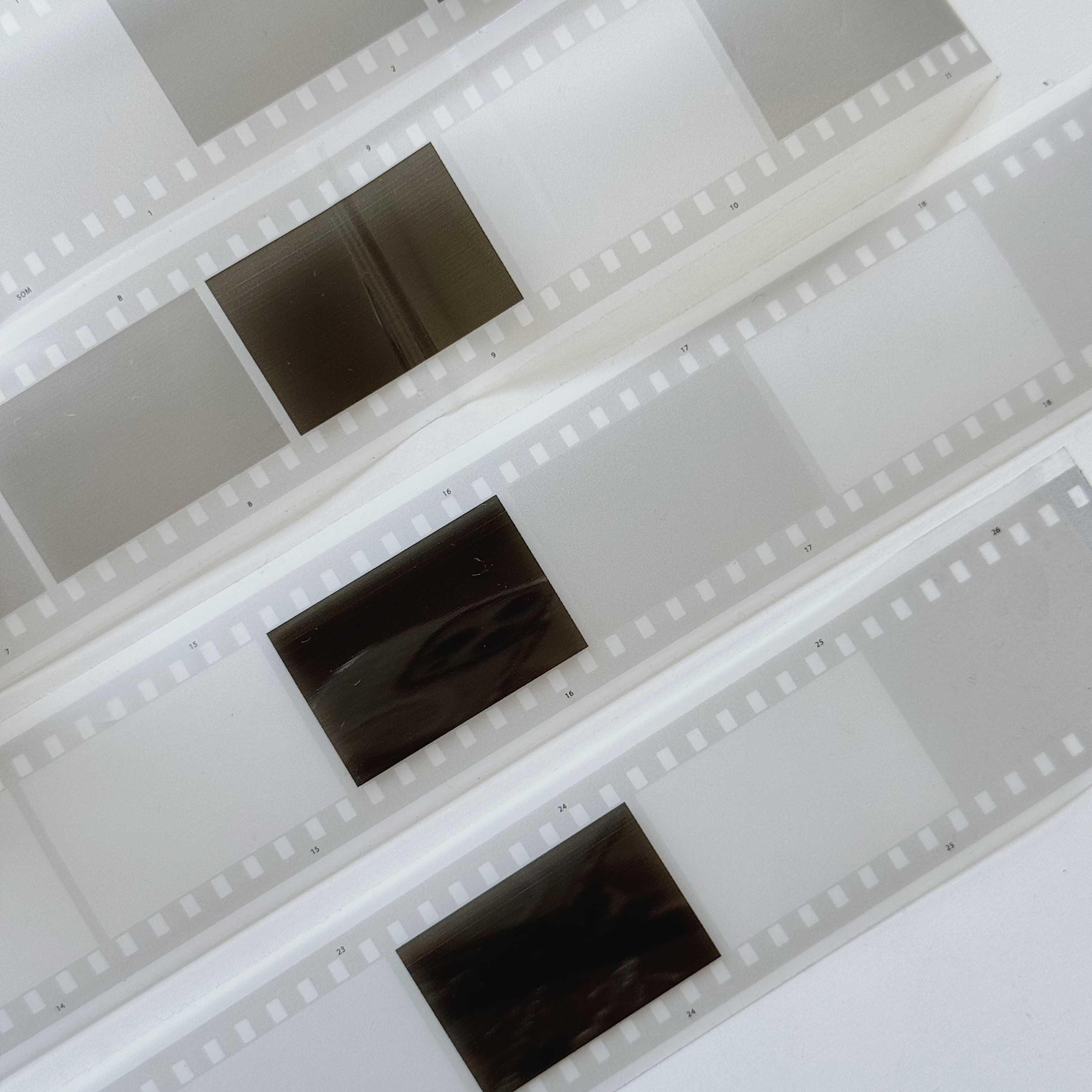 SOM．35mm Film negative exposed 4cm霧面PET膠帶 <整捲/分裝>