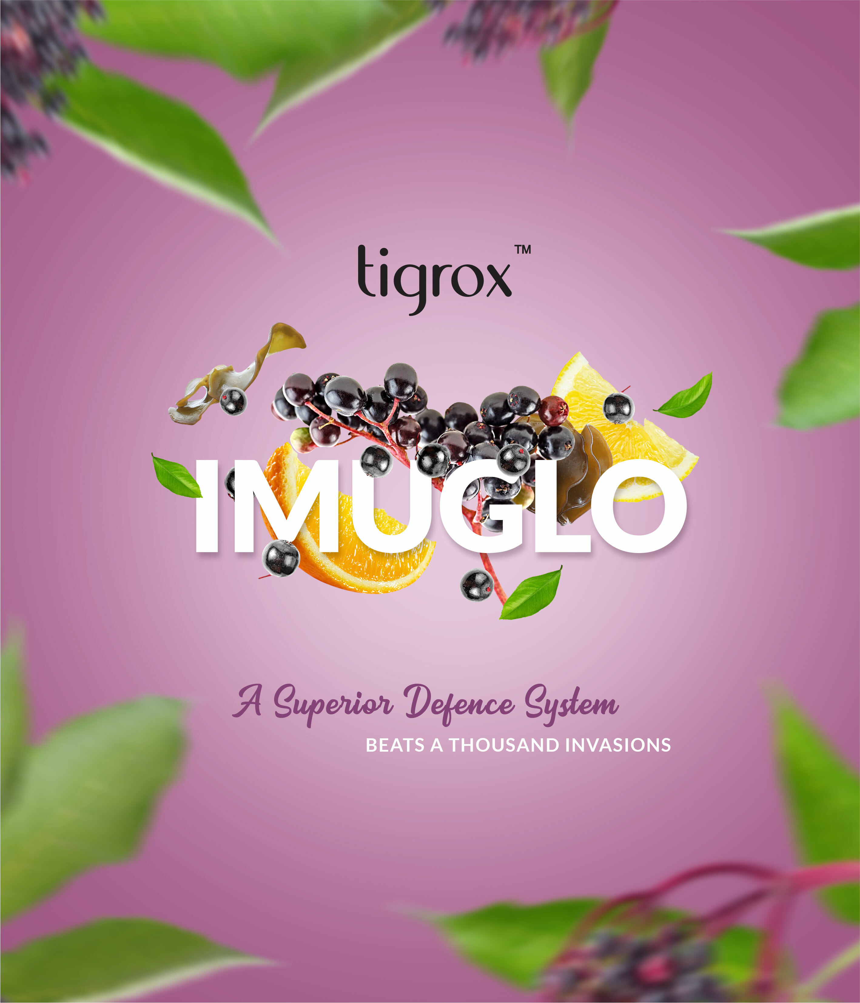 TIGROX IMUGLO 接骨木莓益果增強免疫飲 20ml x 20包