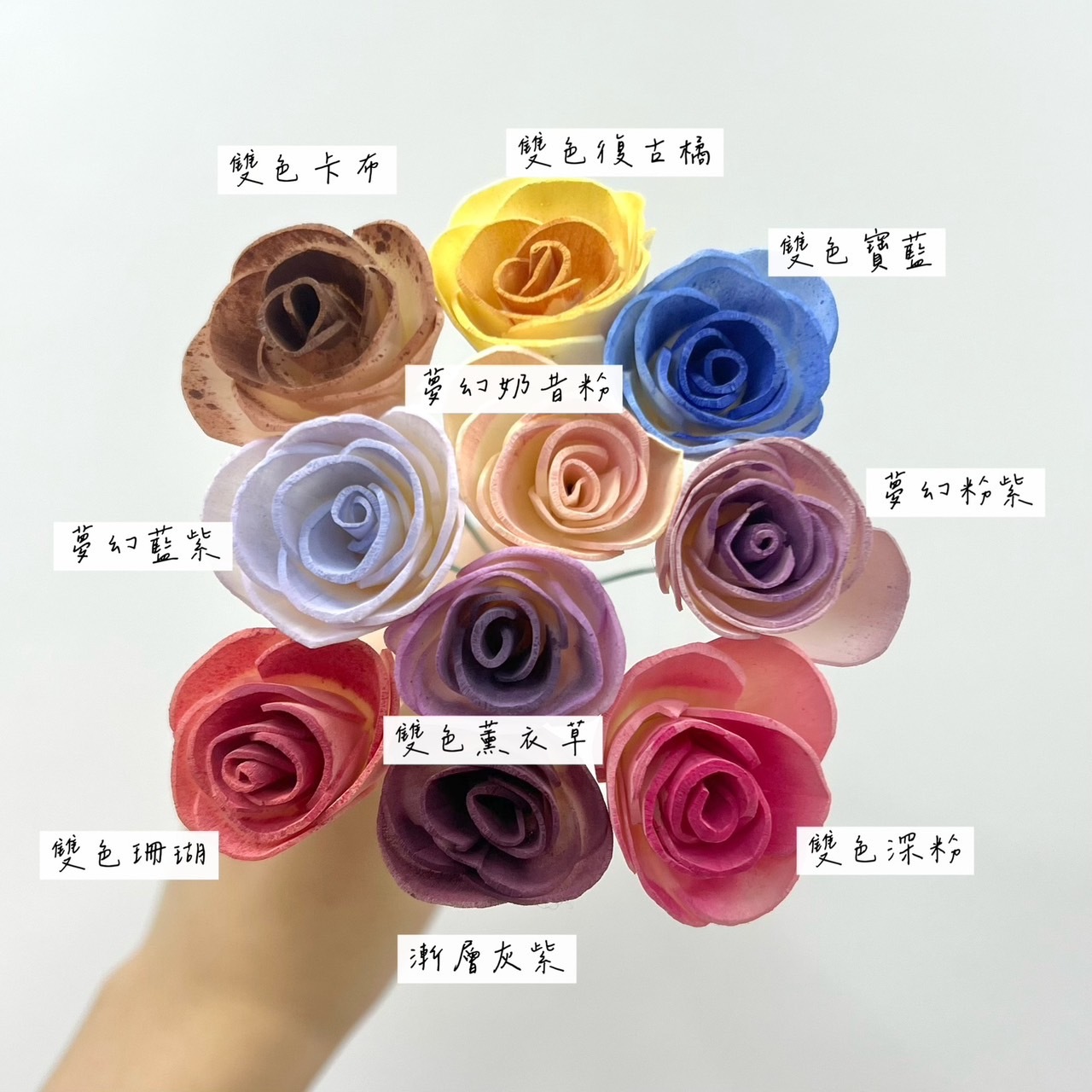 越南索拉花 平原玫瑰 6CM<十支一把>