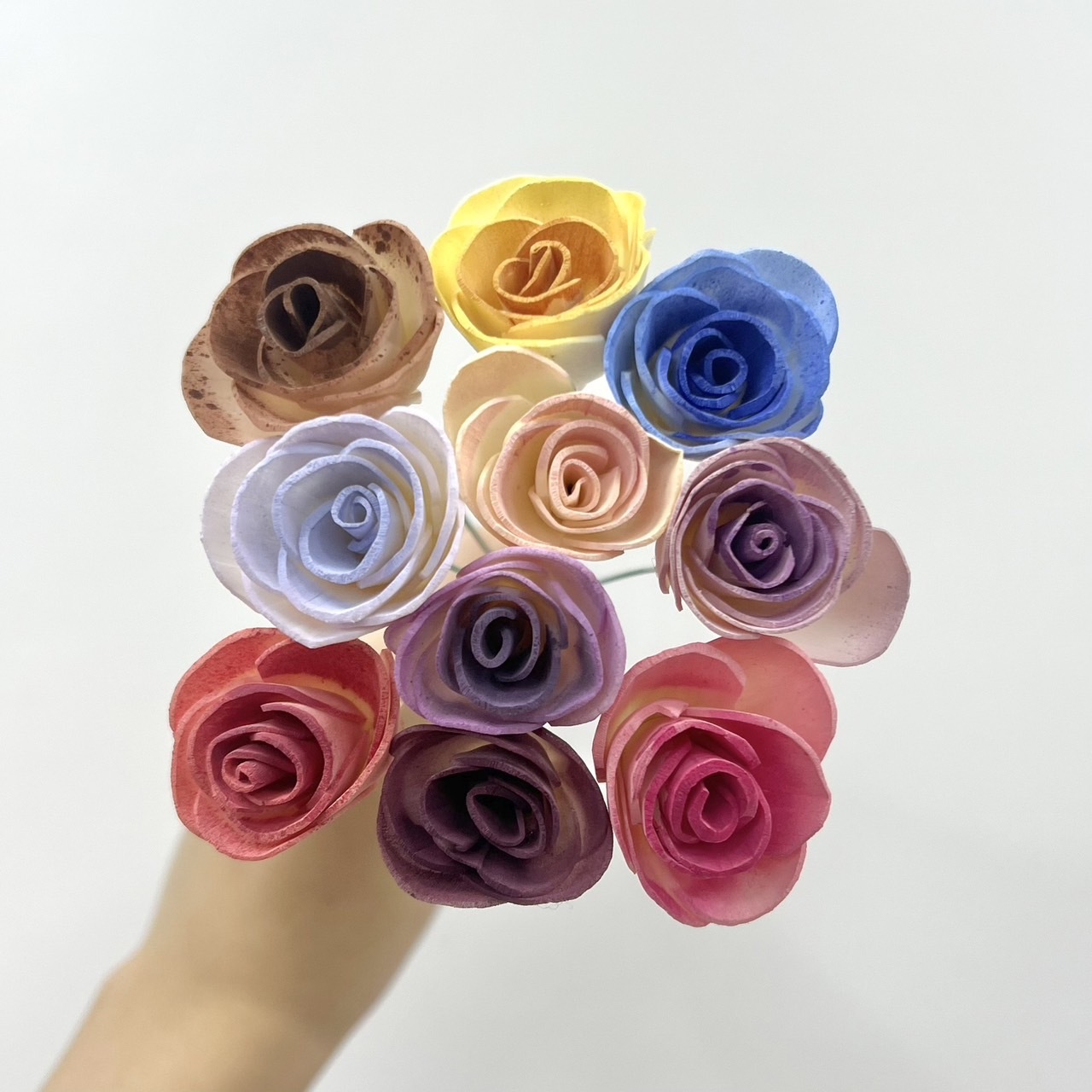 越南索拉花 平原玫瑰 6CM<十支一把>