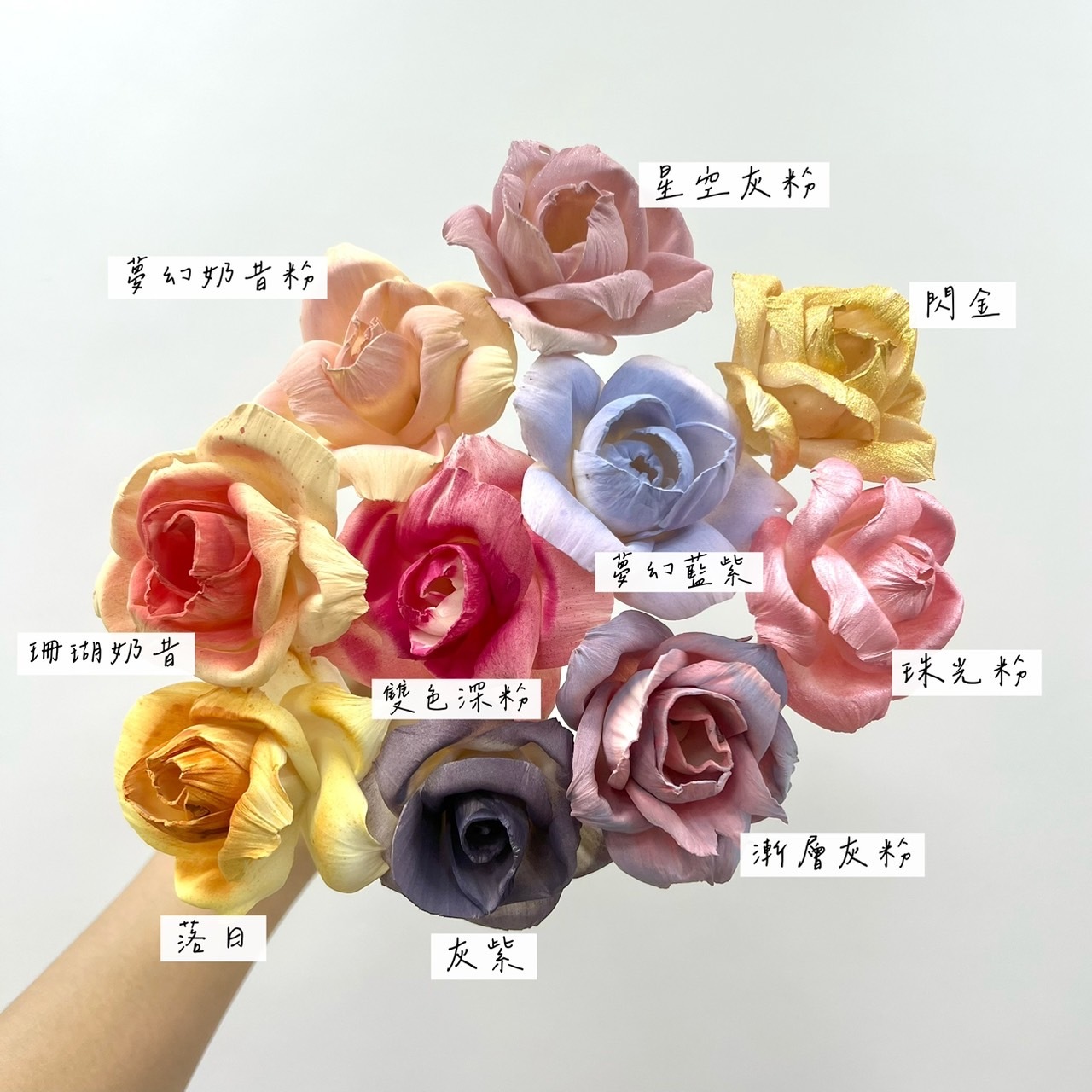 越南索拉花 桔梗花(NEW) 6CM <十支一把>