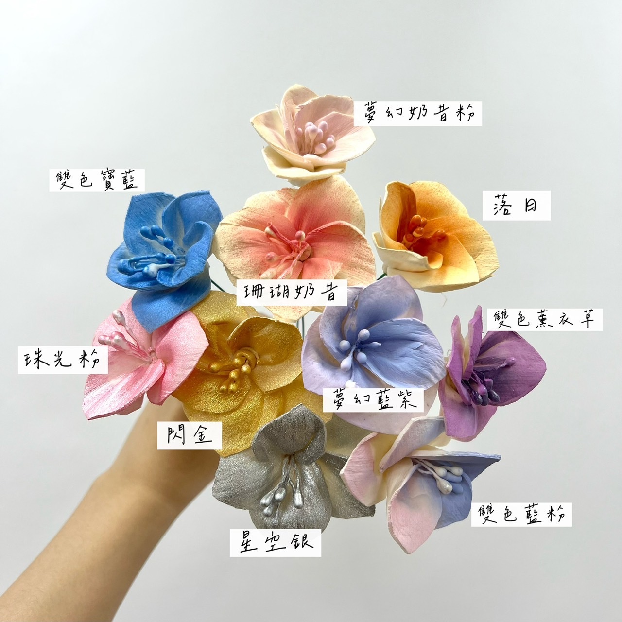 越南索拉花 珍珠虞美人 6CM<十支一把>