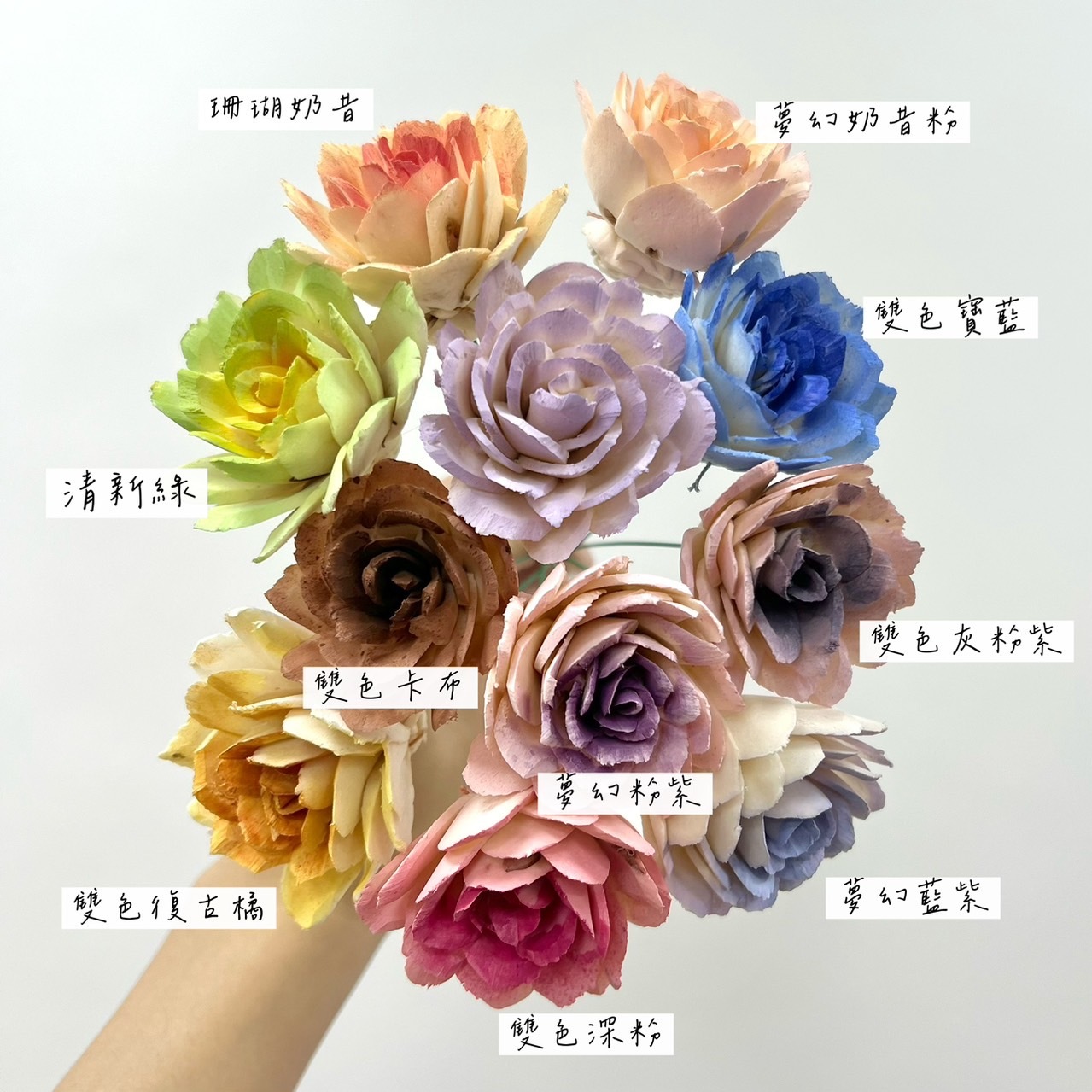 越南索拉花 尖葉玫瑰 4CM<十支一把>