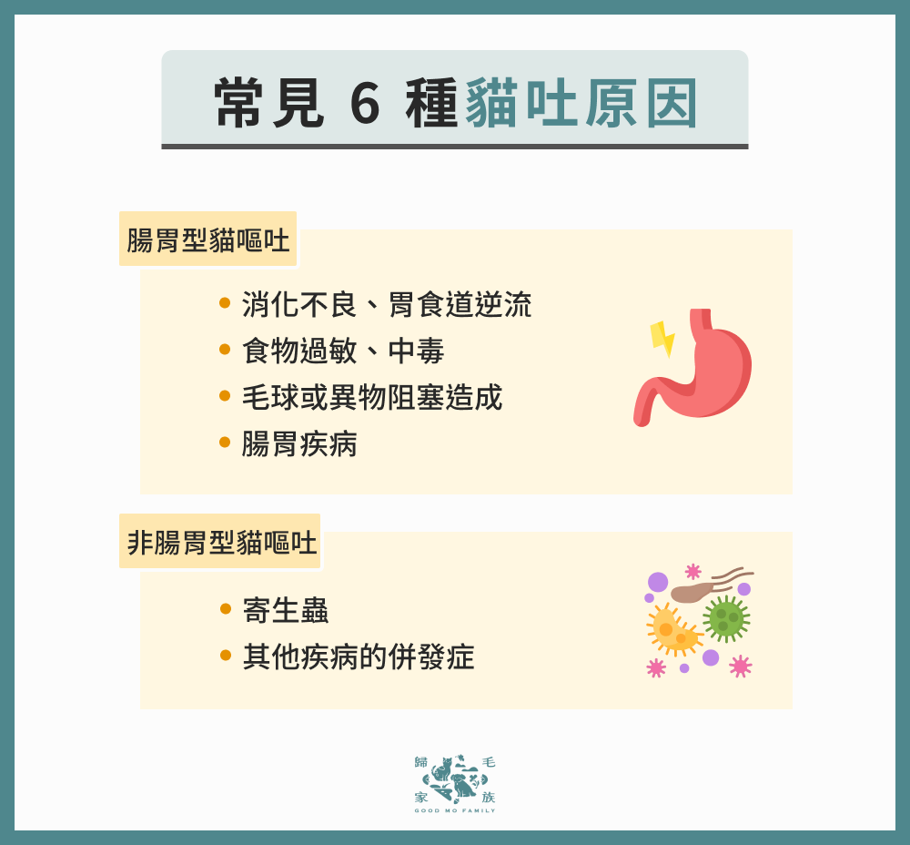 常見 6 種貓吐原因