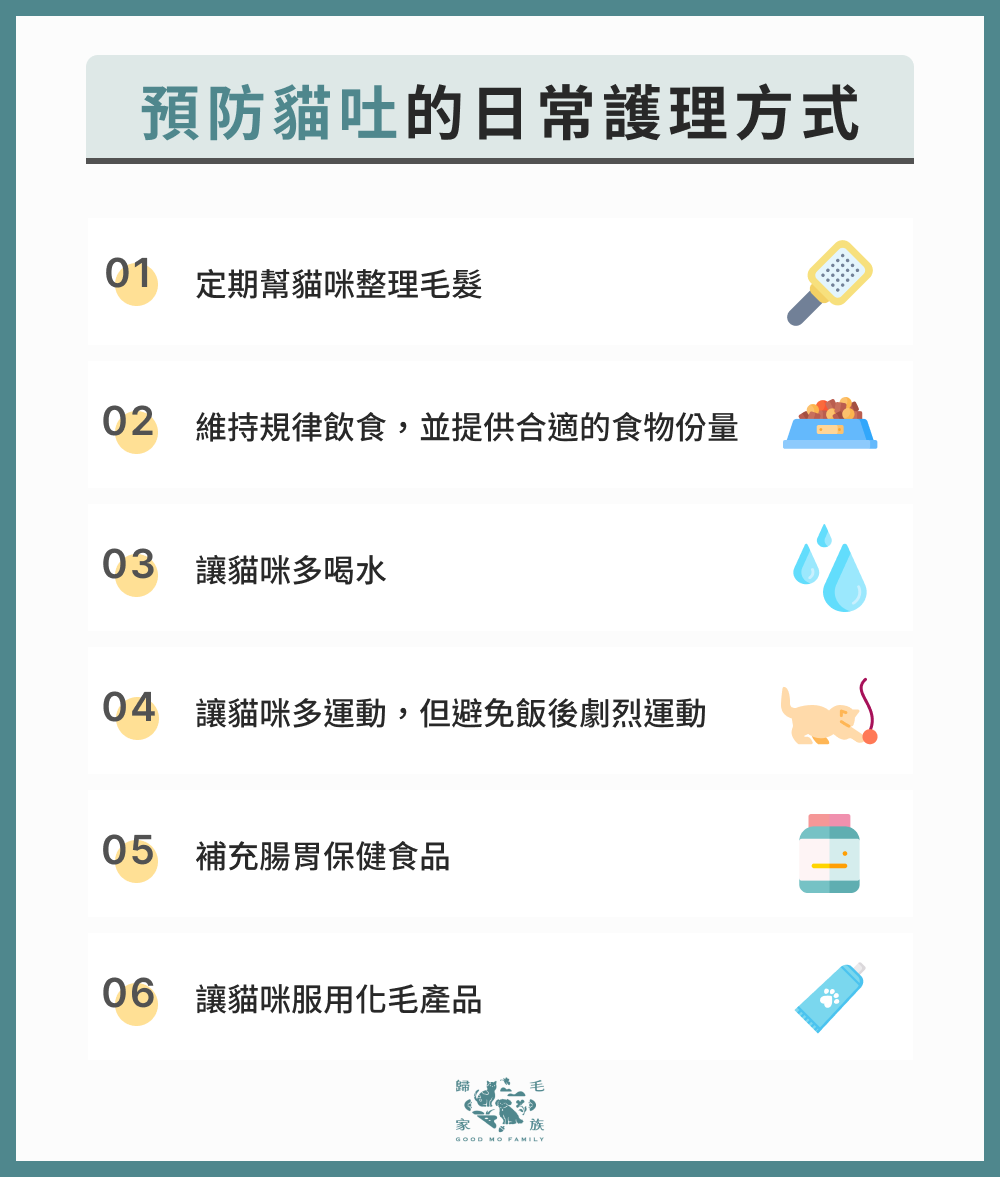預防貓吐的日常護理方式