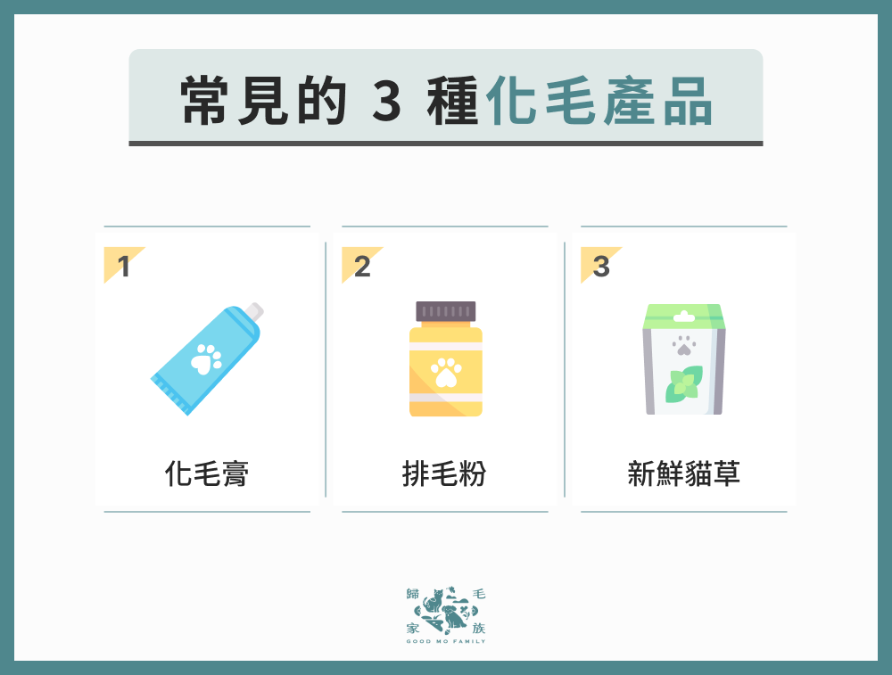 常見的 3 種化毛產品