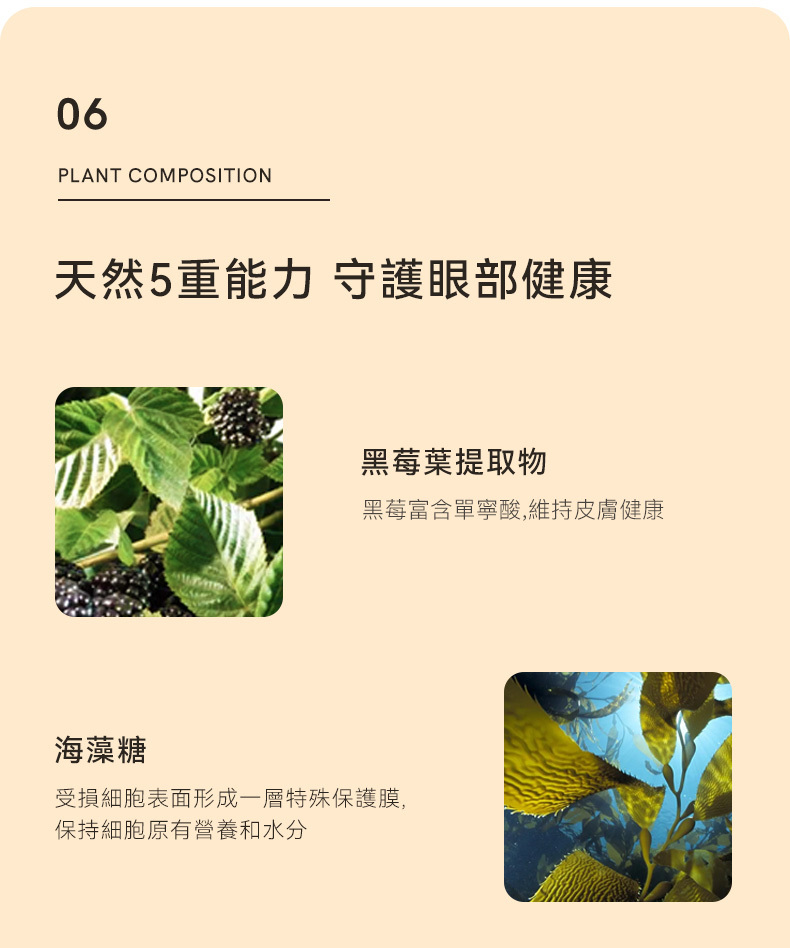 Amo Petric 黑莓葉淚痕擦拭棉片5大原料