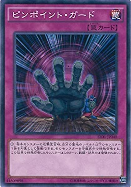 SR01-JP040 ピンポイント・ガード(精確防禦)