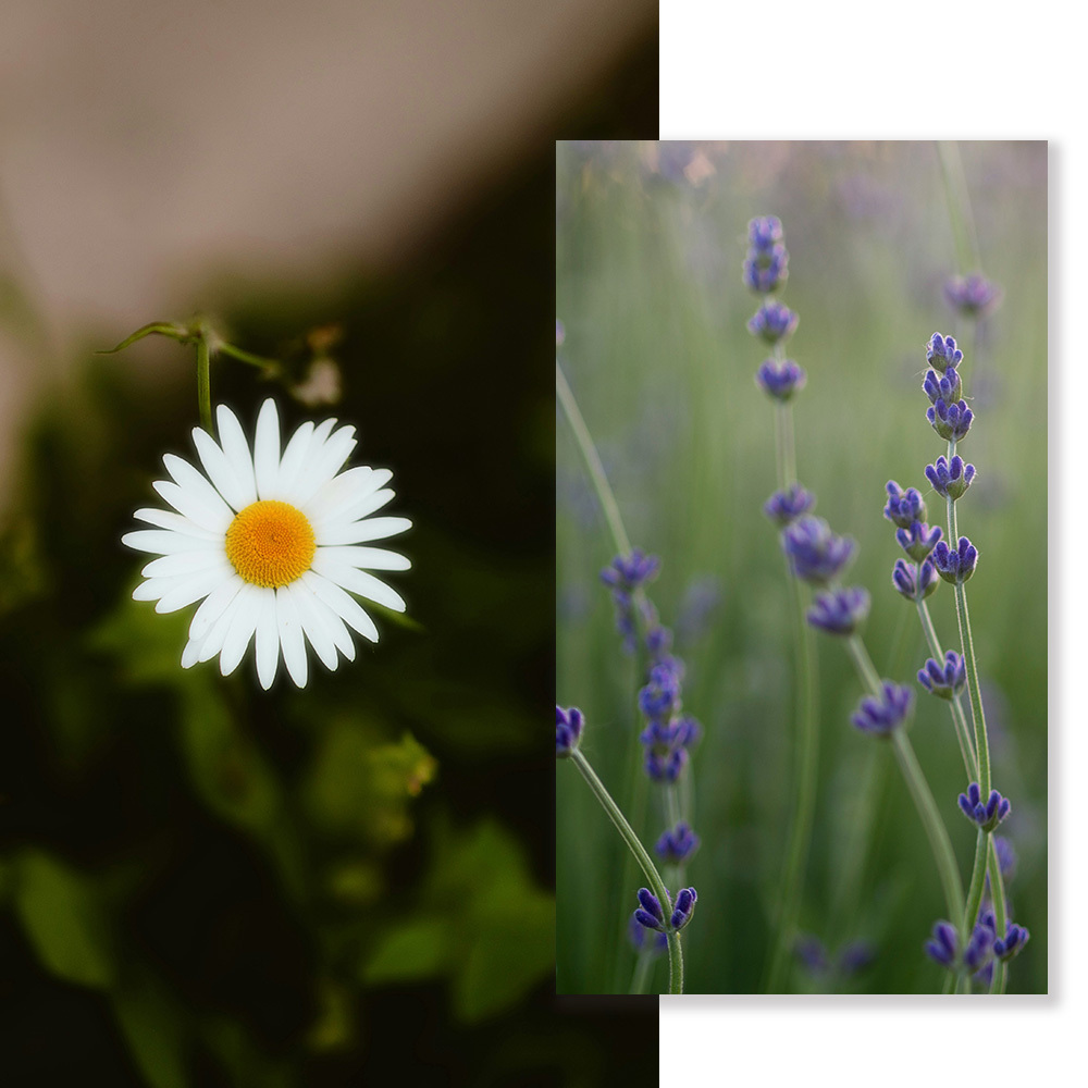 無憂舒眠噴霧-50ml