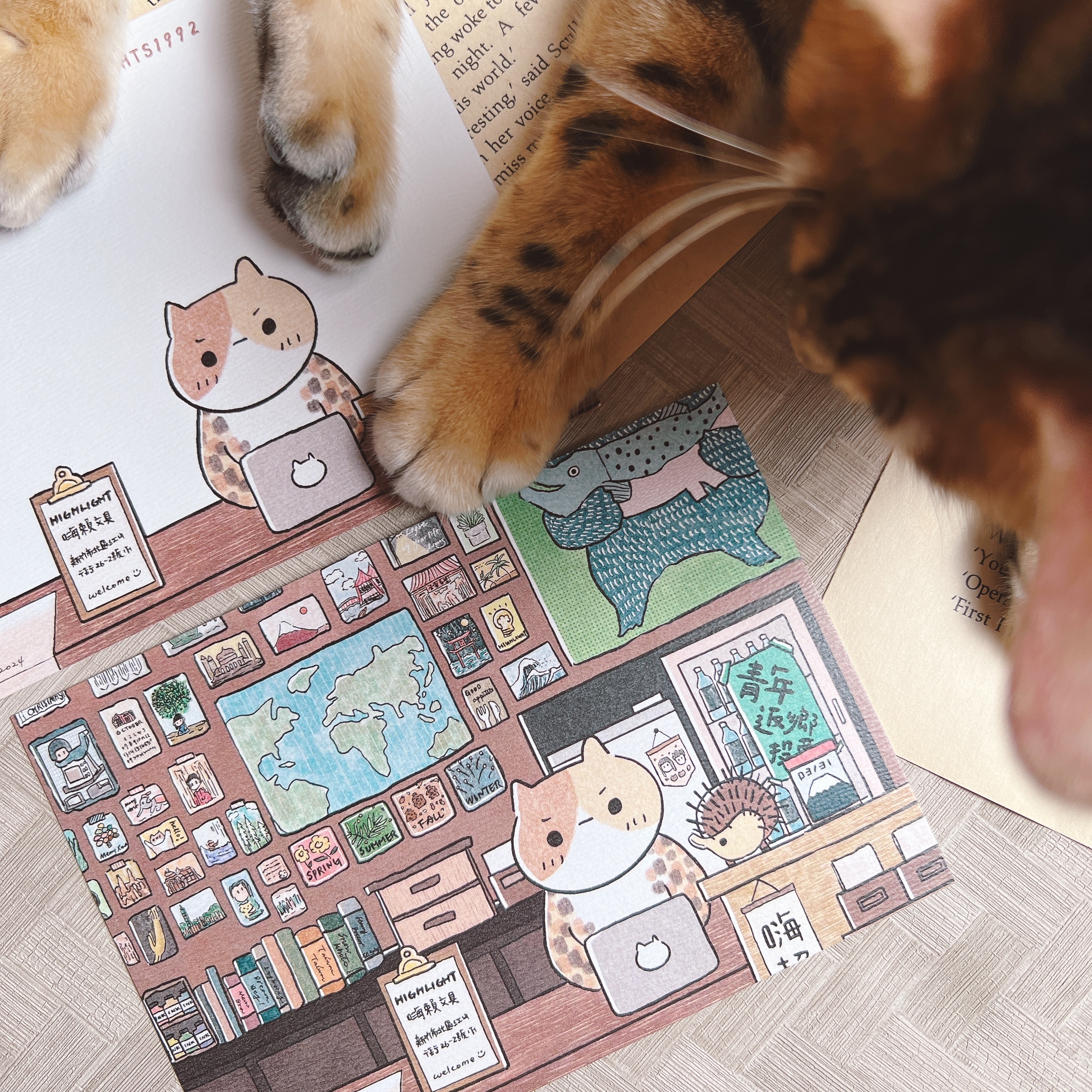 嗨賴出品｜貓貓大掌櫃  明信片