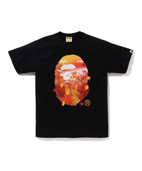 2024AW BAPE JAPAN AUTUMN PHOTO APE HEAD TEE 秋季 楓葉 紅葉 箱根 富士山 大頭 短T 現貨 1K72110140