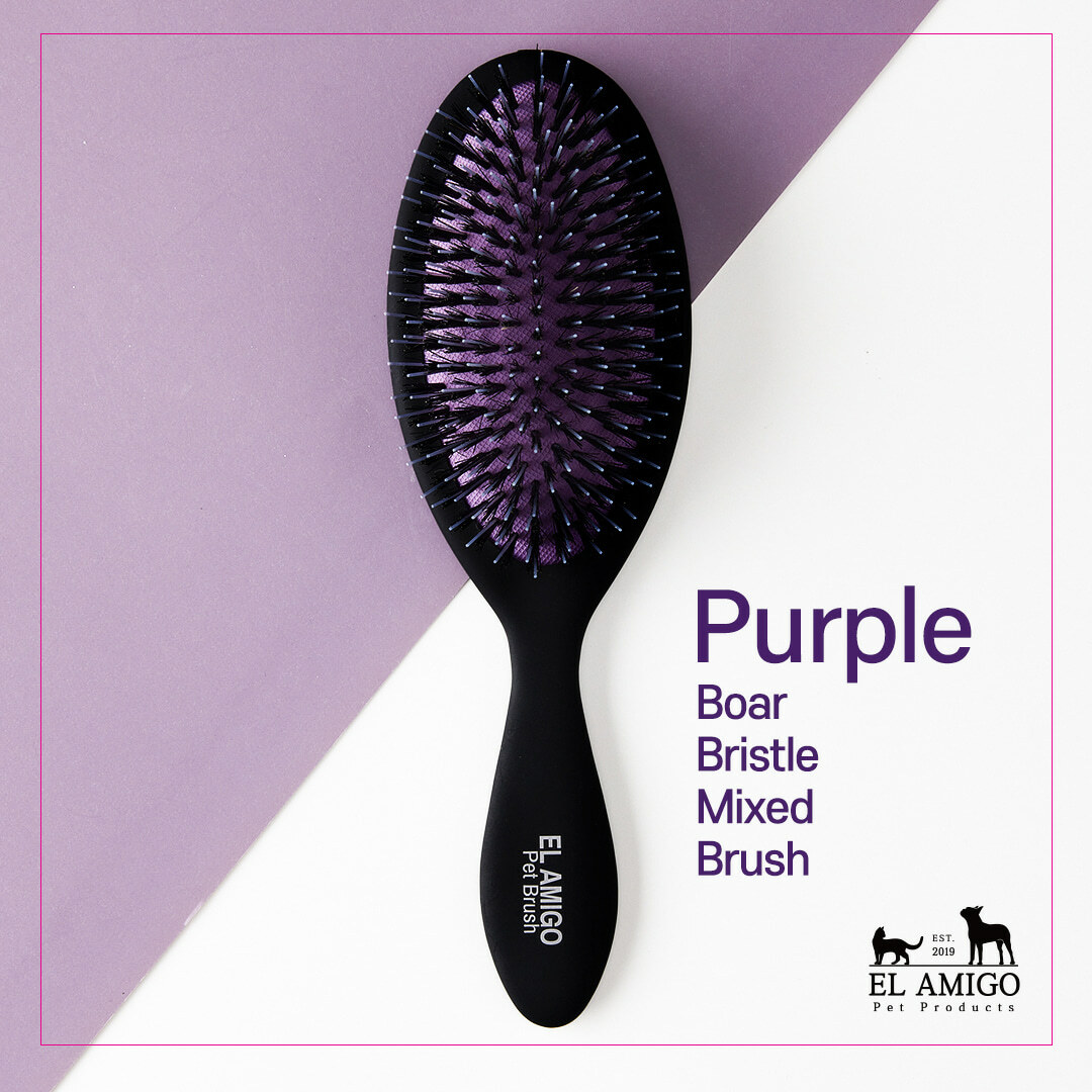 El Amigo 頂級混合鬃毛梳