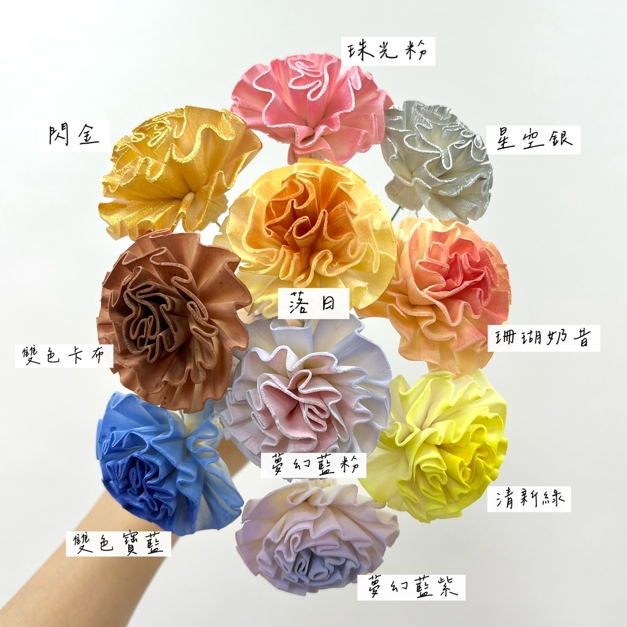 越南索拉花 康乃馨 6CM<十支一把>