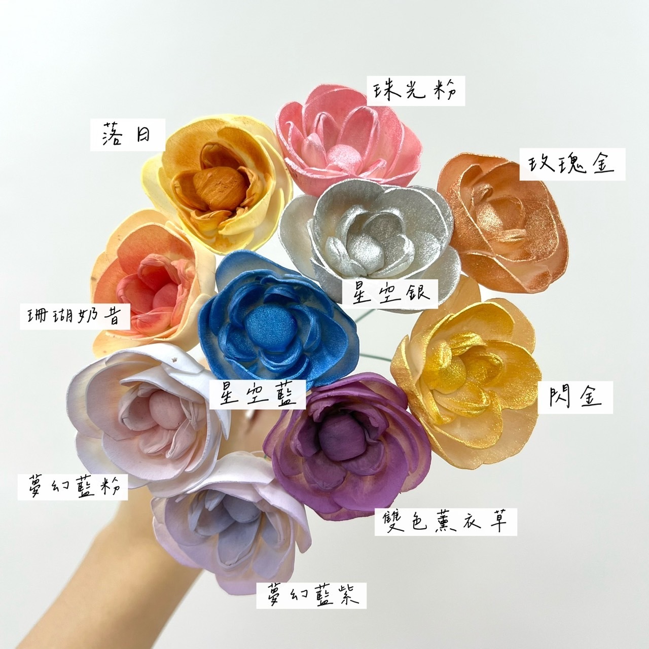 越南索拉花 庭園玫瑰 6CM<十支一把>