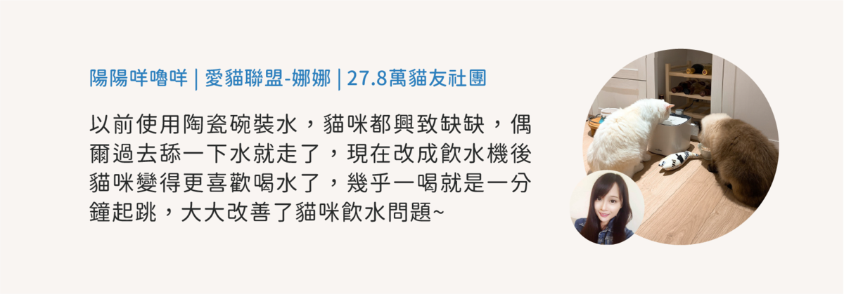 貓友社團心得分享