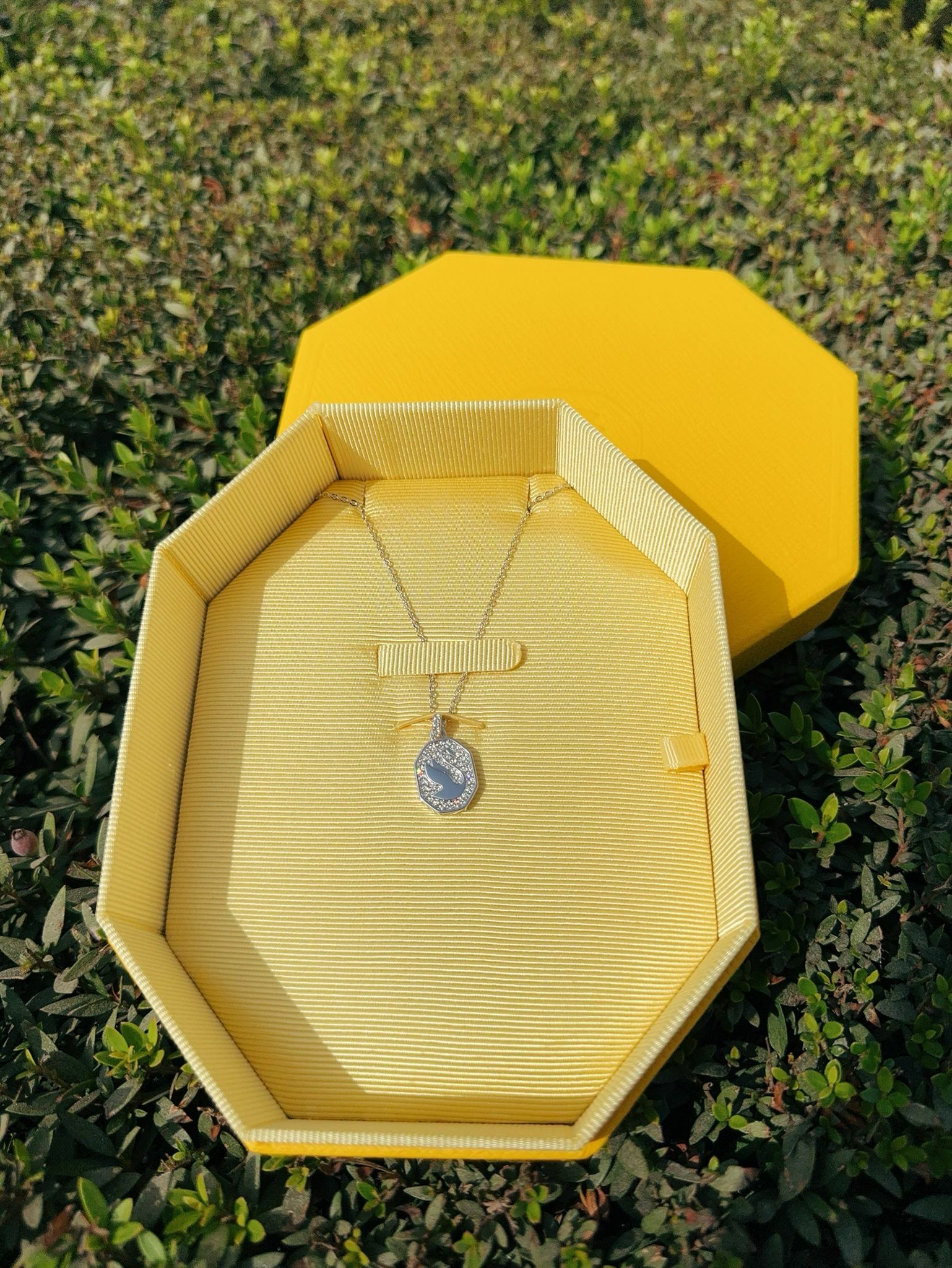 【直播】Swarovski L102359 頸鏈