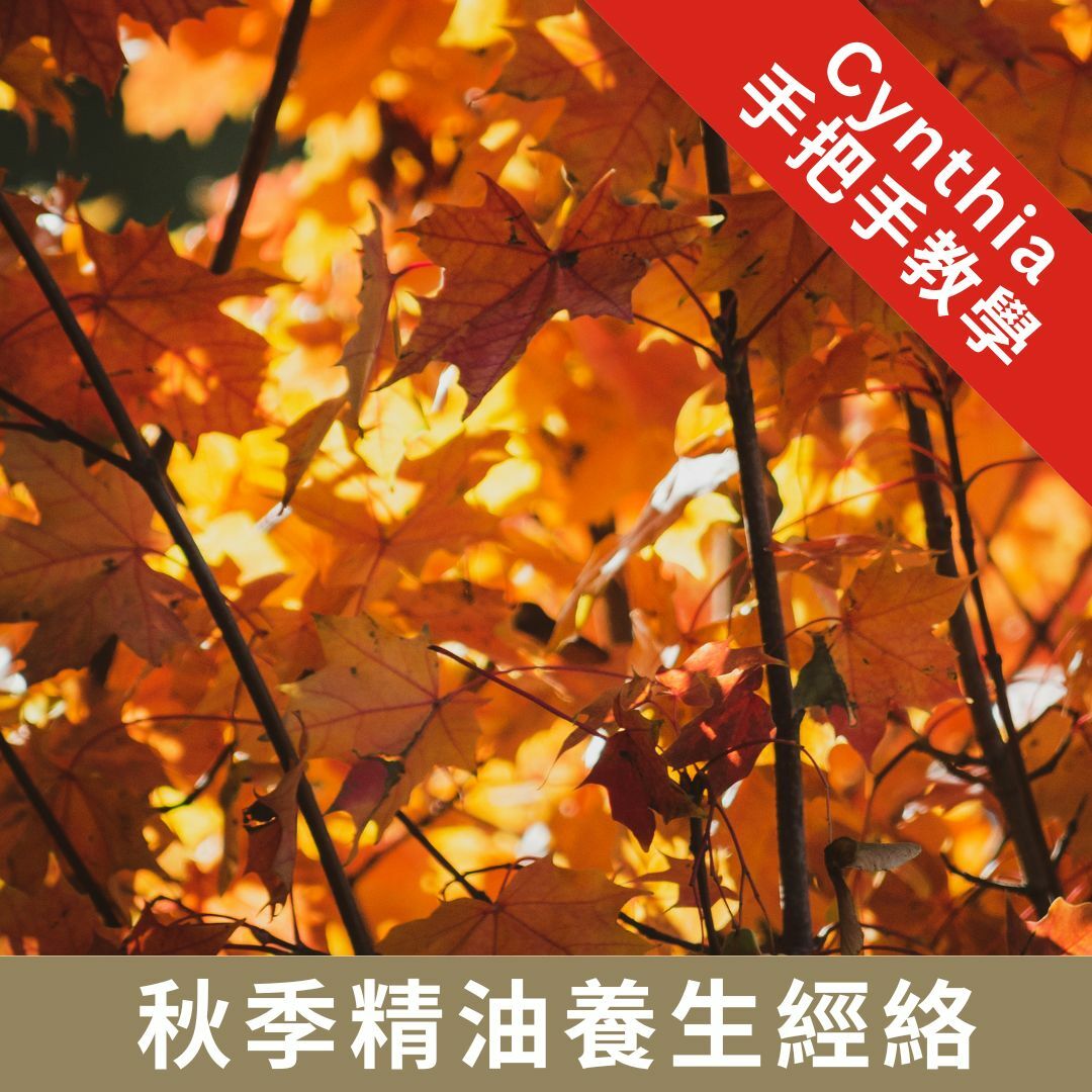 精油講座:秋季精油養生經絡(線上版)
