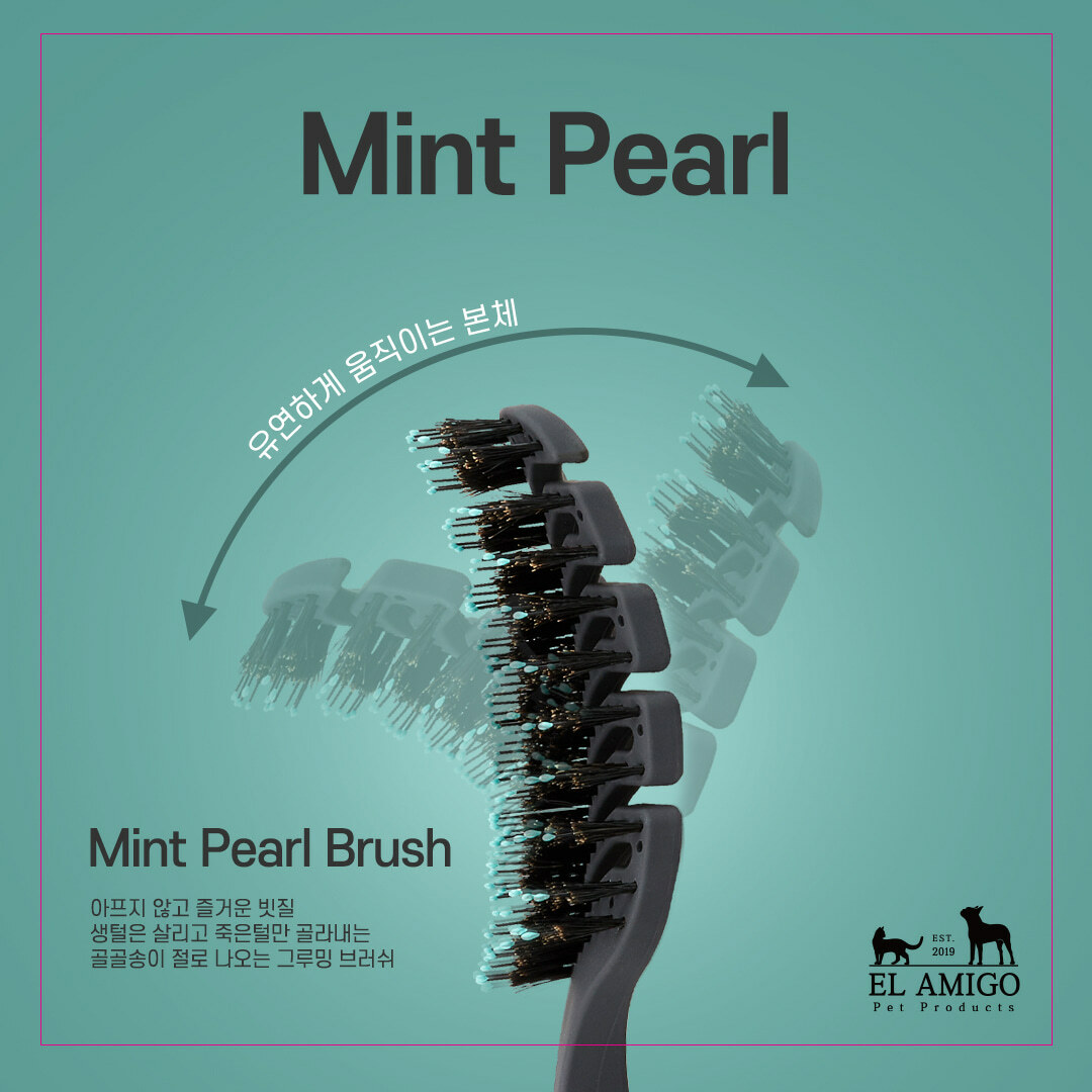 El Amigo 薄荷沾珠鬃毛按摩梳